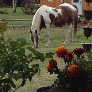 Meet your Posher, Aleta